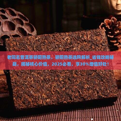 老同志普洱茶骄阳熟茶