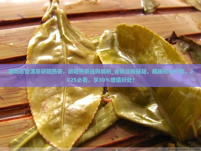 老同志普洱茶骄阳熟茶