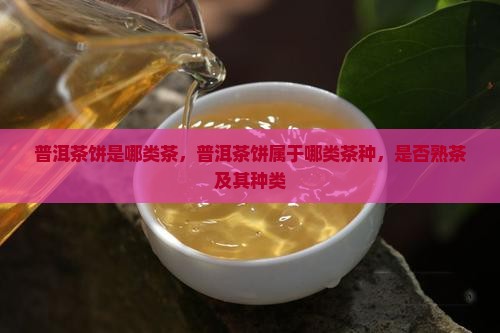 普洱茶饼是哪类茶