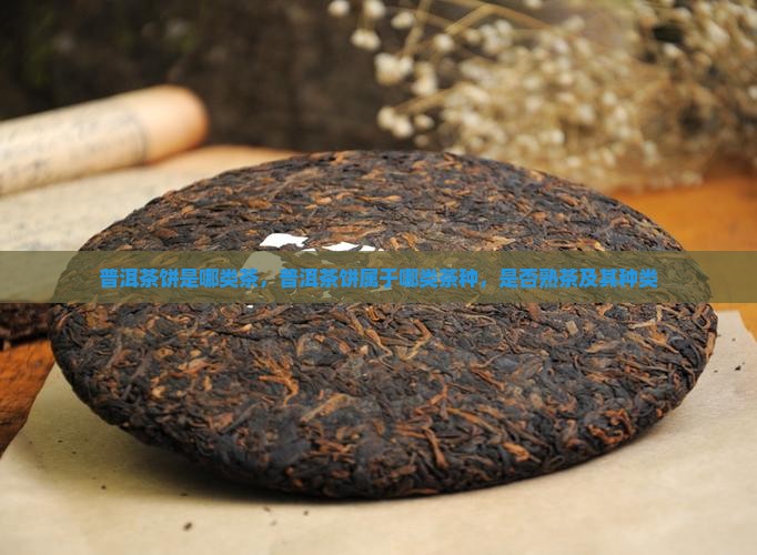 普洱茶饼是哪类茶