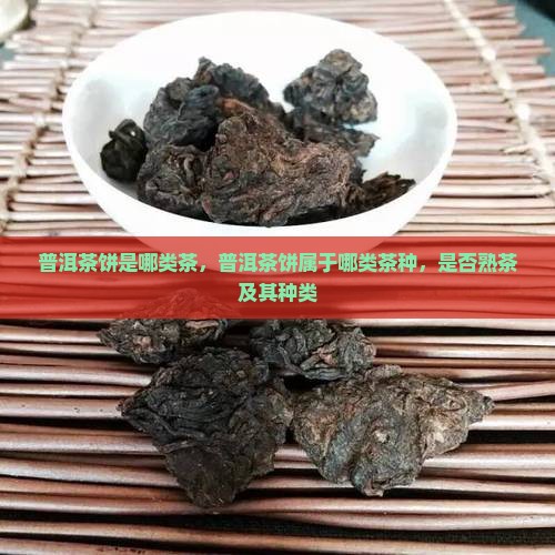 普洱茶饼是哪类茶