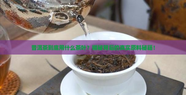 普洱茶用什么茶叶
