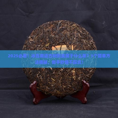 冰岛南迫古树属于什么茶