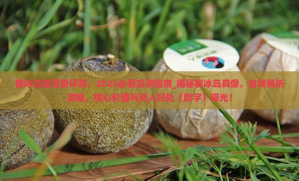 赛冰岛普洱茶评测