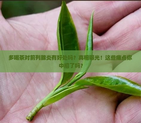 多喝茶对前列腺炎有好处吗