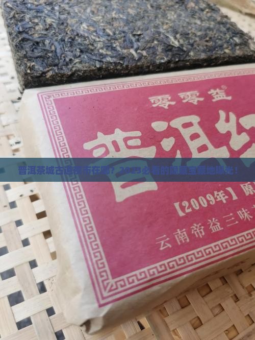 普洱茶城古道夜市在哪里