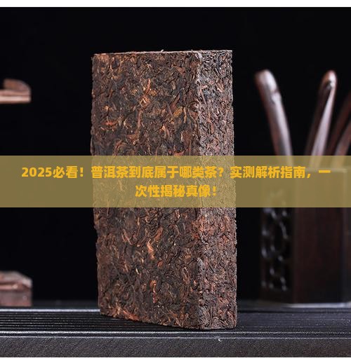 普洱茶属于哪一类型的茶