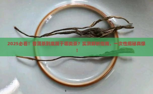 普洱茶属于哪一类型的茶