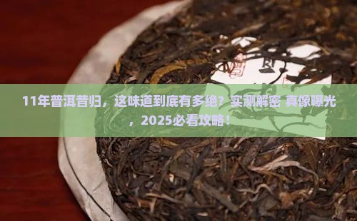 11年的普洱昔归