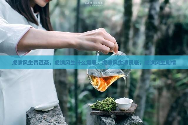 虎啸风生普洱茶
