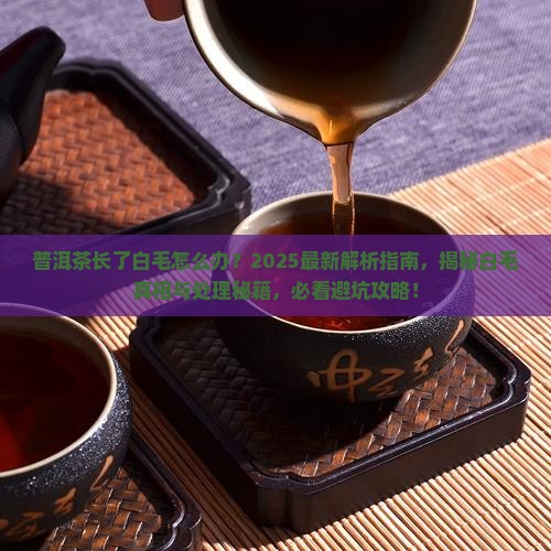 普洱茶长了白毛