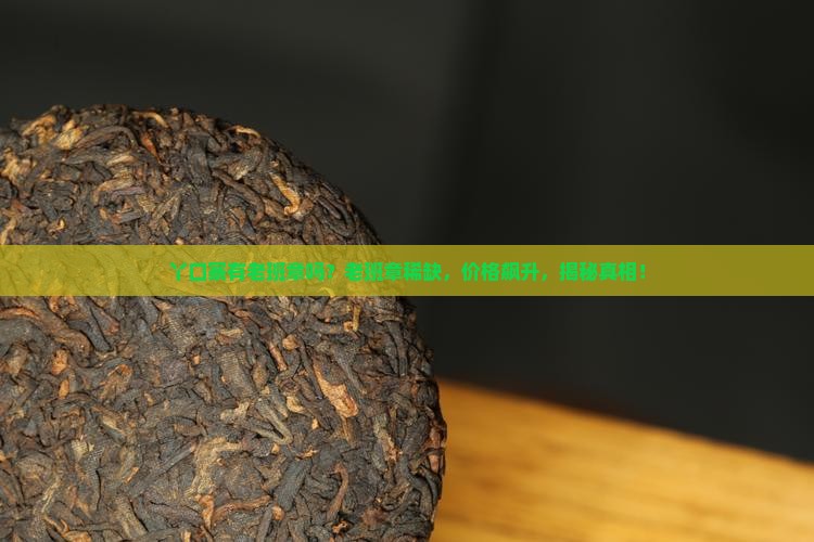 丫口寨有老班章吗
