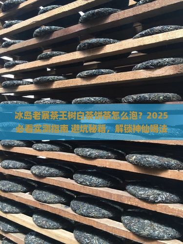 冰岛老寨茶王树怎样泡白茶饼茶