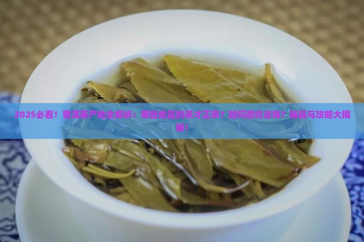 哪些地区的茶属于普洱茶