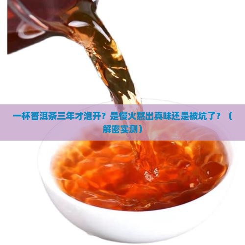 一杯普洱茶三年才泡开正常吗