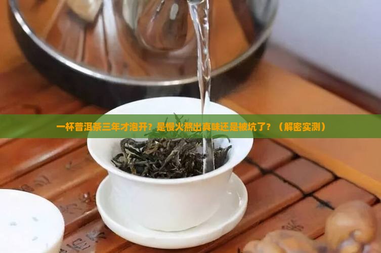 一杯普洱茶三年才泡开正常吗