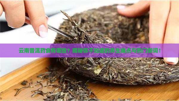 云南普洱药食有哪些