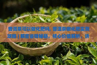 普洱茶可以做化肥吗