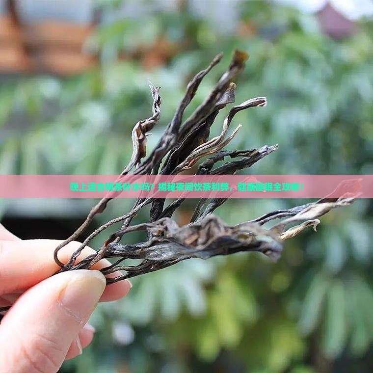 晚上适合喝茶叶水吗