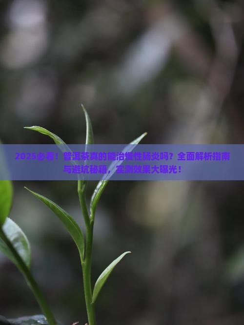 普洱茶能治慢性肠炎吗