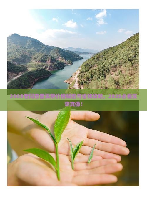 老同志普洱茶价格2008