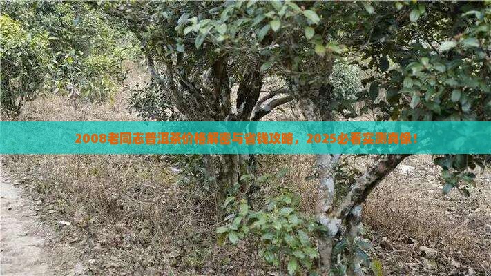 老同志普洱茶价格2008