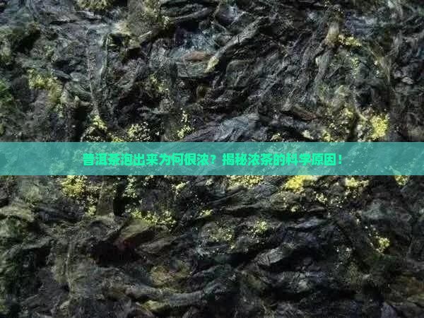 普洱茶泡出来为何很浓