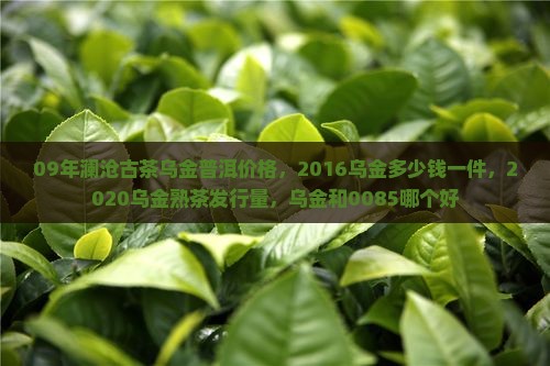 09年澜沧古茶乌金普洱价格