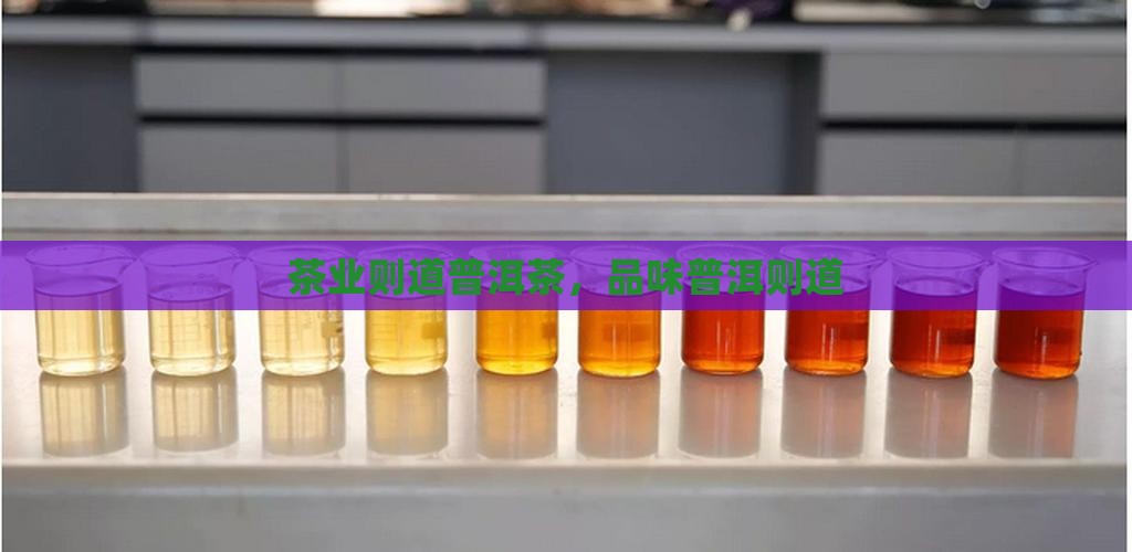 云南则道茶叶普洱茶