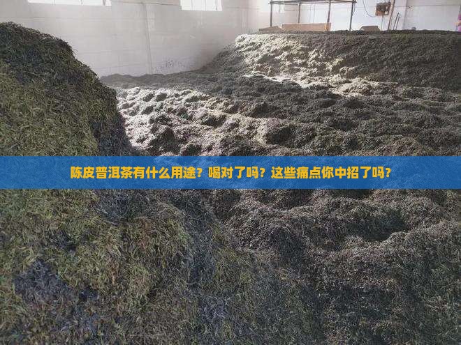 陈皮普洱茶有什么用途