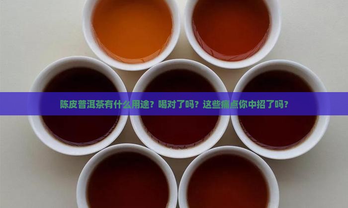 陈皮普洱茶有什么用途
