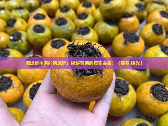 海堤是中茶旗下的吗