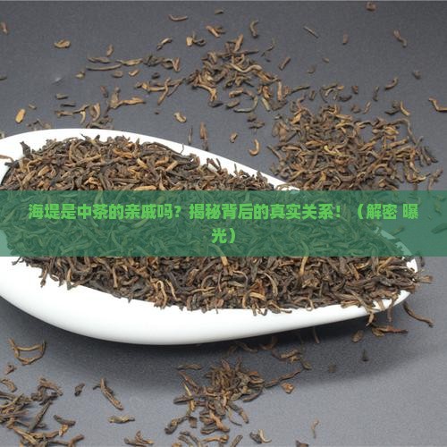 海堤是中茶旗下的吗