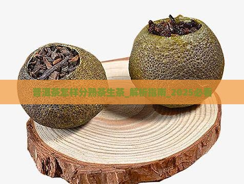 普洱茶怎样分熟茶生茶