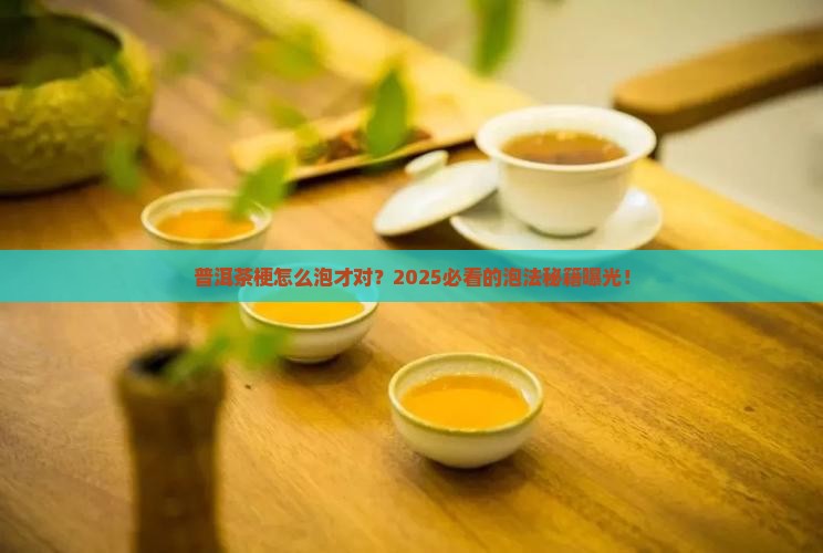 普洱茶梗正确的泡法是什么