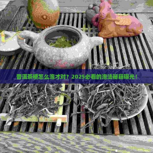 普洱茶梗正确的泡法是什么