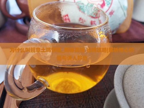 为什么叫班章土鸡饼呢