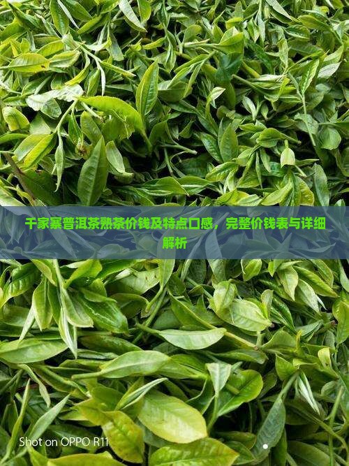 千家寨普洱茶熟茶价钱