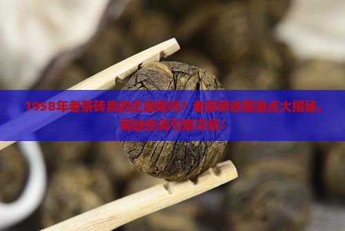 1958年老茶砖