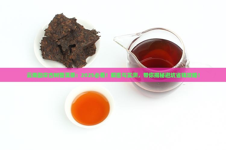 云南勐宋古树普洱茶
