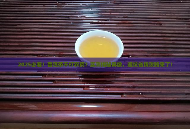普洱茶真的不打农药吗