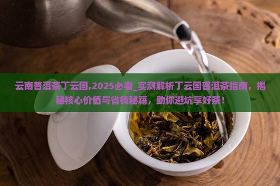 云南普洱茶丁云国