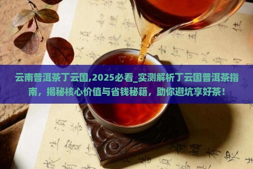 云南普洱茶丁云国