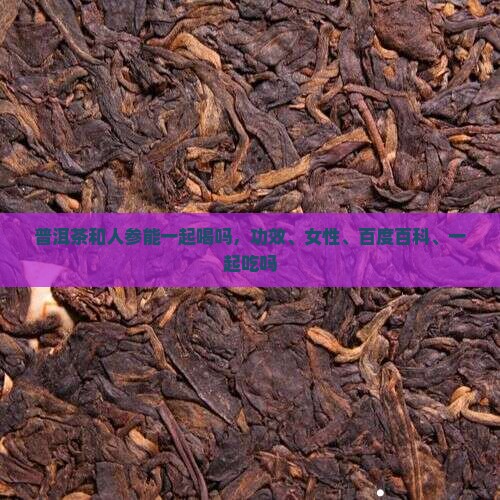 普洱茶和人参能一起喝吗