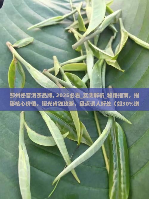 邳州熟普洱茶品牌