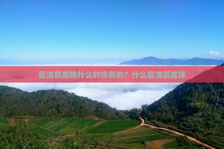 普洱茶龙珠什么时候有的