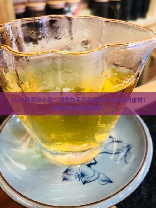 普洱茶哪里有卖茶的
