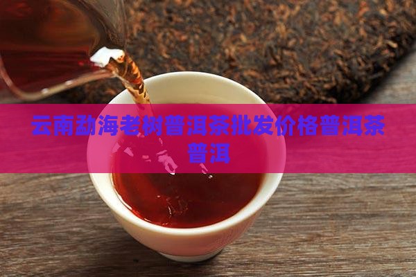 云南勐海老树普洱茶多少钱