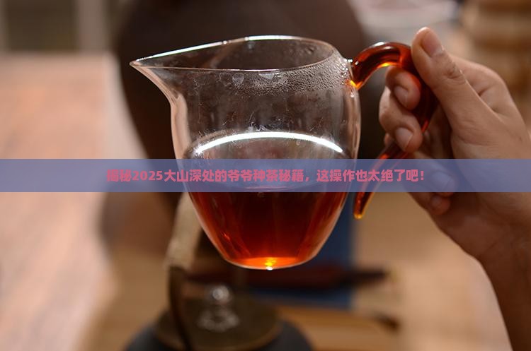 在大山里种茶叶的爷爷