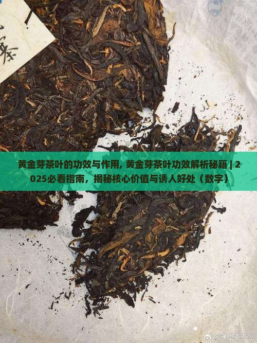 黄金芽茶叶的功效与作用